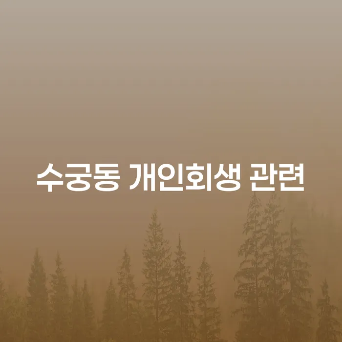 수궁동 개인회생 관련