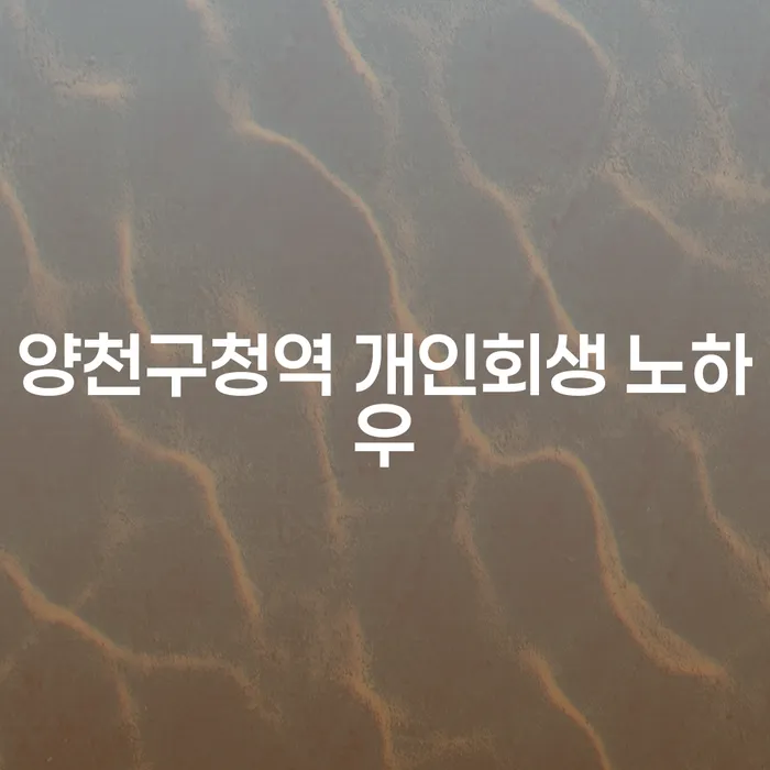양천구청역 개인회생 노하우